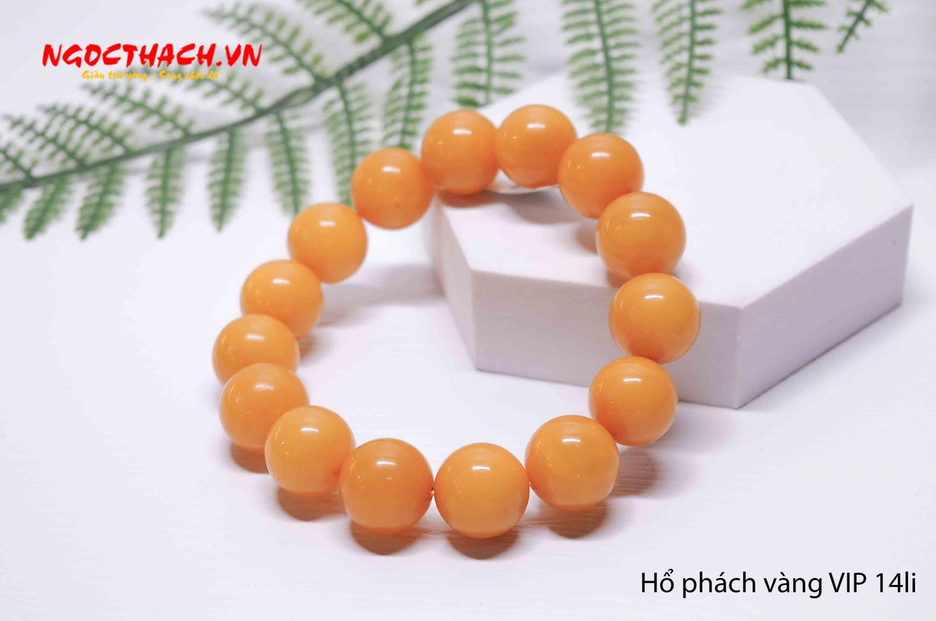 ngocthach.vn