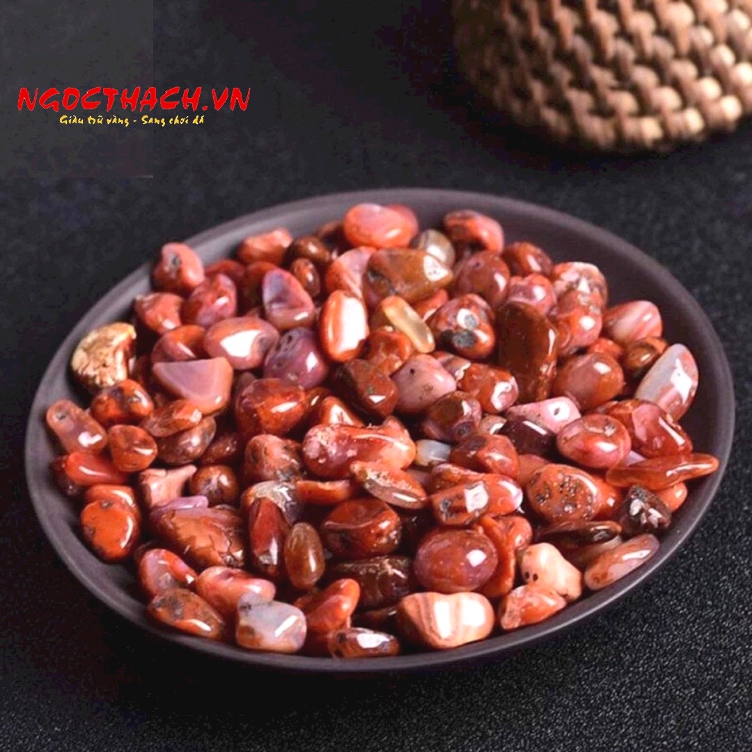 ngocthach.vn