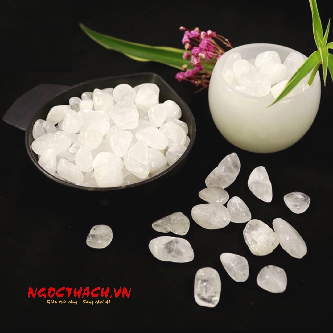 ngocthach.vn