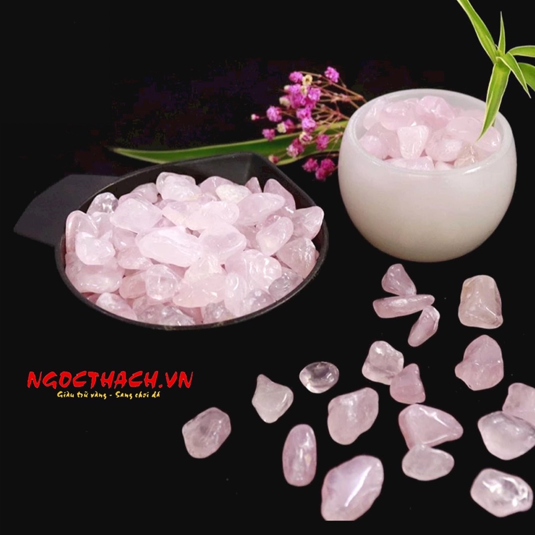 ngocthach.vn