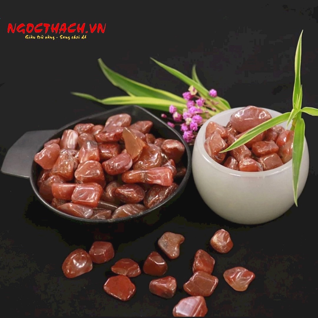 ngocthach.vn