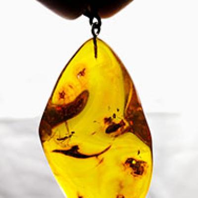 Mặt dây hổ phách côn trùng