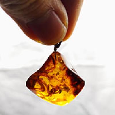 Mặt dây hổ phách côn trùng